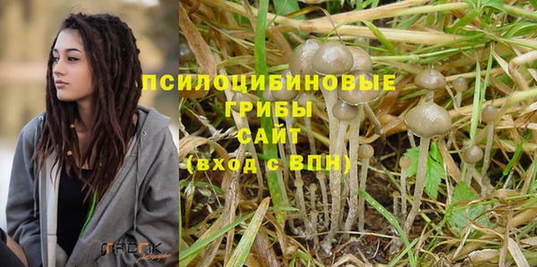 дживик Балабаново