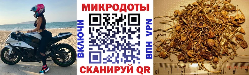 Псилоцибиновые грибы Magic Shrooms  Закаменск 